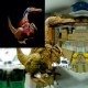 figura-dekoracyjna-dinozaur-dinosaur-welocyraptor-reklama-duza-big-fiberglass-decorations-statue-giant