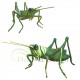 figura-dekoracyjna-konik-polny-duza-grasshopper-insects-decoration-figure-fiberglass-giant