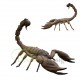 dekorative-figur-gross-tiere-natur-insekt-skorpion-riesig-skulpturs-vergnugungspark-garten