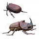 figurine-decorative-scarabee