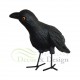 figurine-decorative-corbeau