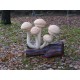 dekorative-figur-pilz-armillaria-gross-riesig-skulpturs-vergnugungspark-gartendekoration