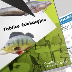  Fish- Educational boards